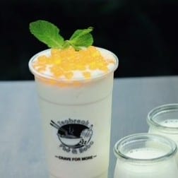 S11. Yogurt Freeze.