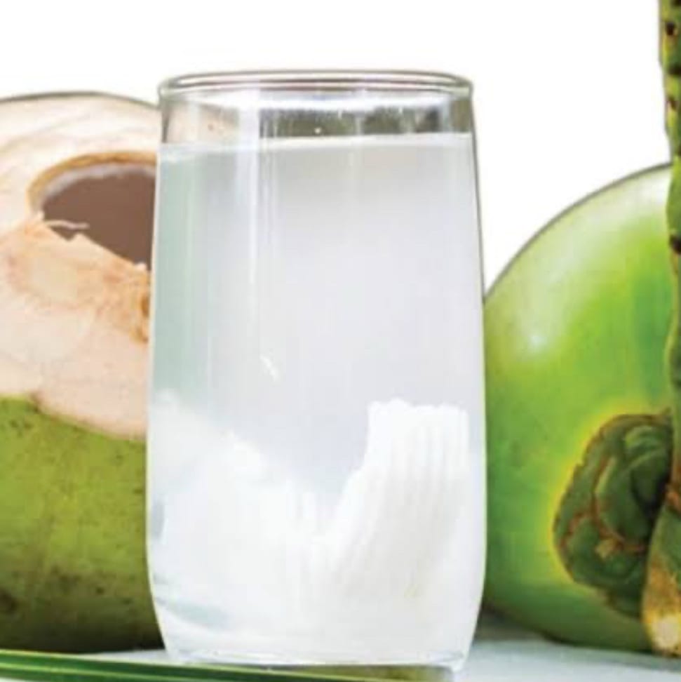 Bv3.Young Coconut Juice.